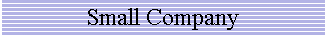 Small Company
